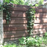 derevyannye-zabory_018